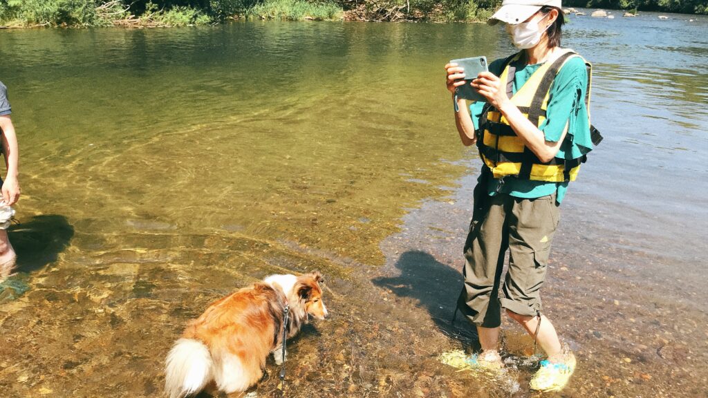 水遊び　犬　ニセコ