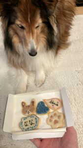 犬も食べれるアイシングクッキー