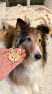 犬も食べれるアイシングクッキー