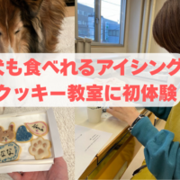 犬も食べれるアイシングクッキー