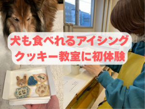 犬も食べれるアイシングクッキー