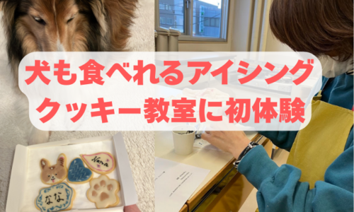 犬も食べれるアイシングクッキー