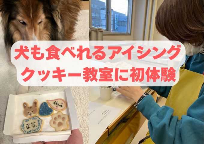 犬も食べれるアイシングクッキー
