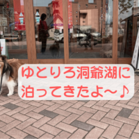 洞爺湖　犬と泊まれる宿