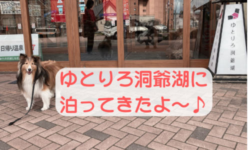 洞爺湖　犬と泊まれる宿