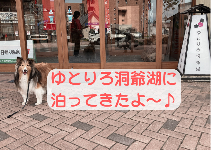 洞爺湖　犬と泊まれる宿