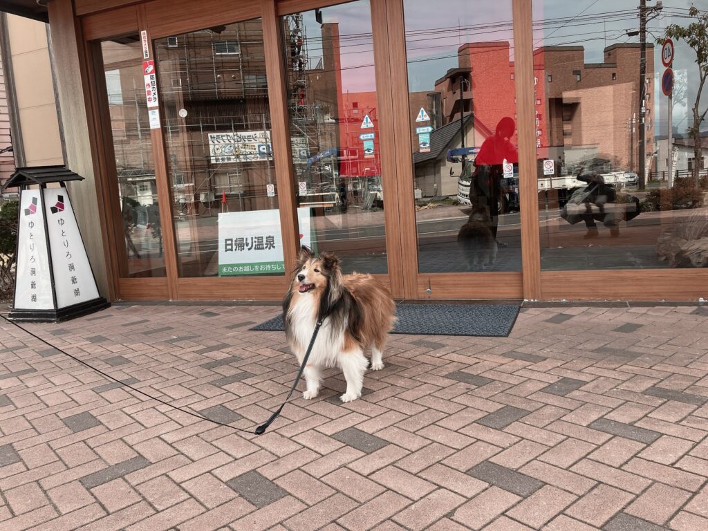 ペットと泊まれる宿　洞爺湖
