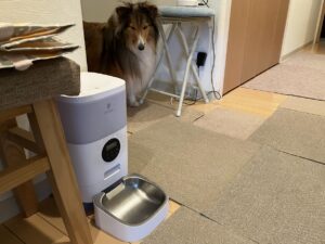 犬の自動給餌機