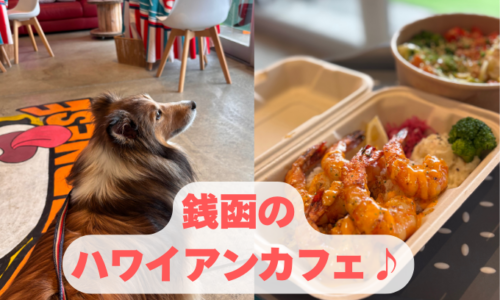 銭函　犬　カフェ
