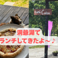 洞爺湖 犬連れ ランチ