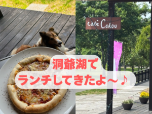 洞爺湖　犬連れ　ランチ