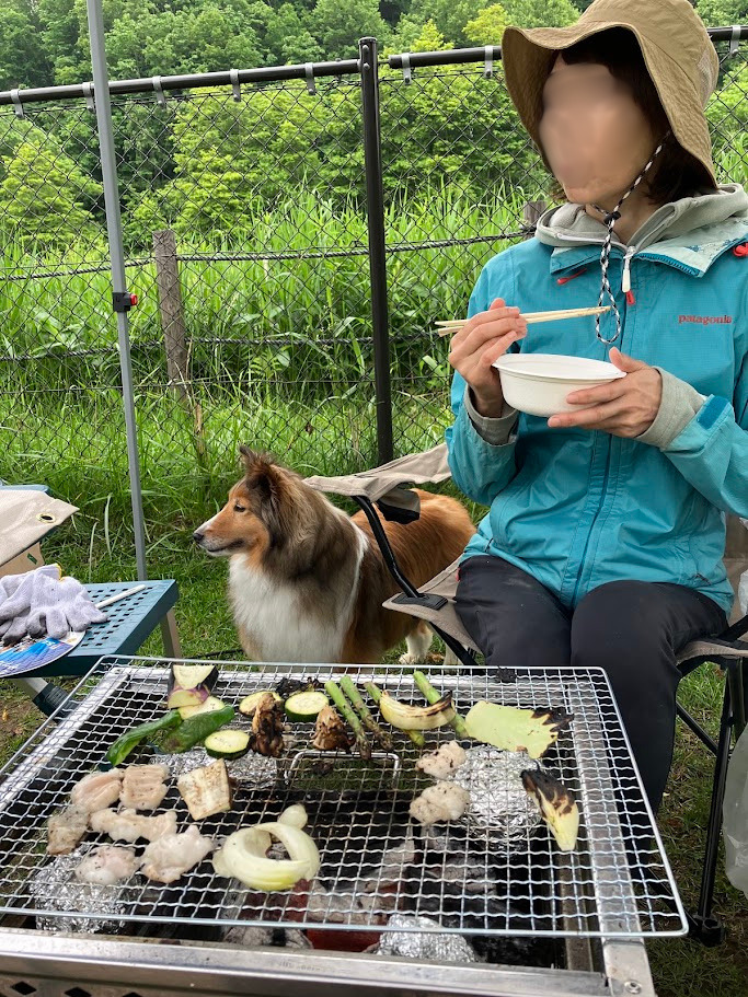 恵庭市　デイキャンプ　ペット
