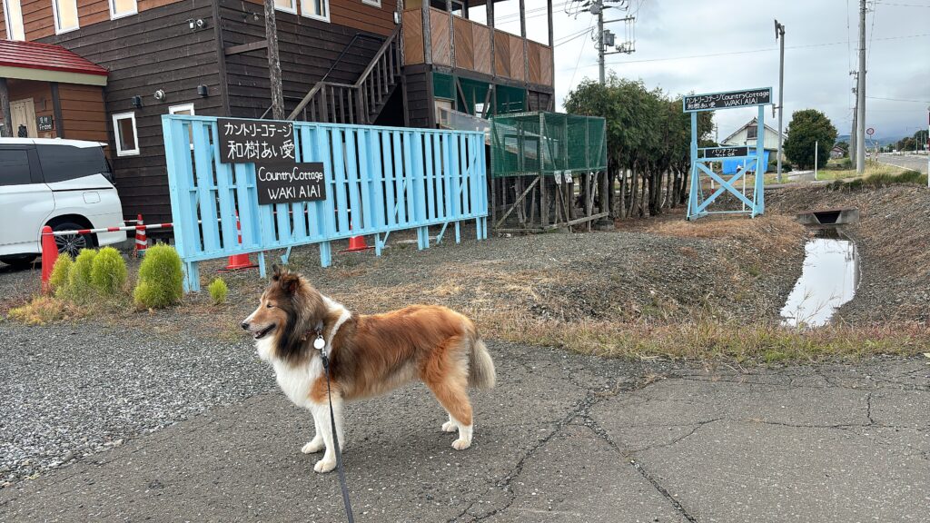 犬と泊まれる宿 富良野
