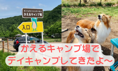 札幌近郊　キャンプ　犬連れ