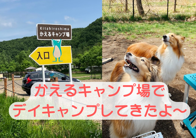 札幌近郊　キャンプ　犬連れ