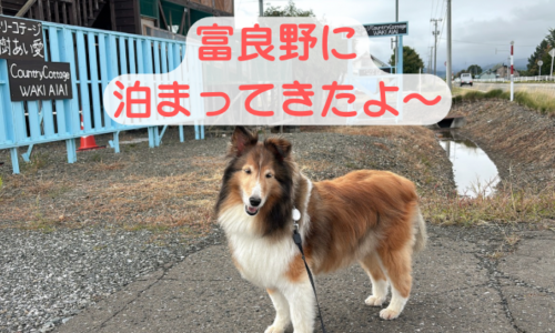 富良野　犬と泊まれる　コテージ